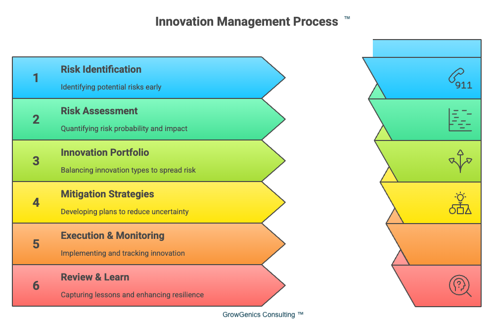 GrowGenics Innovation Risk Framework visualizing the balance between innovation and calculated risk